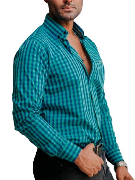 Camisa Hombre Casual Cuadros Verdes, Azul 1